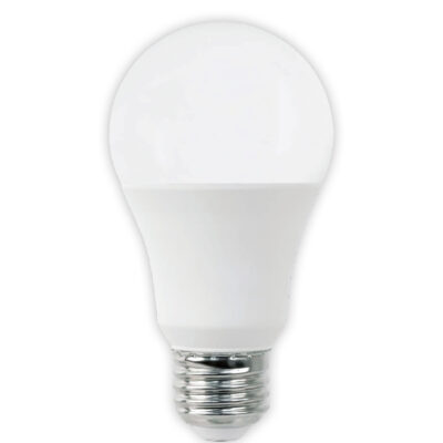 LED A19 Globe Bulb 10W 4000K