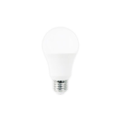 LED A19 Globe Bulb 10W 4000K
