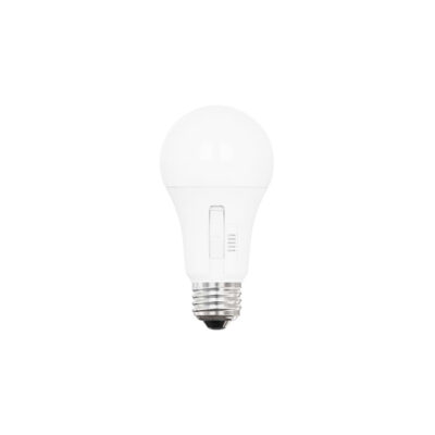 LED A19 Globe Bulb 10W 5CCT