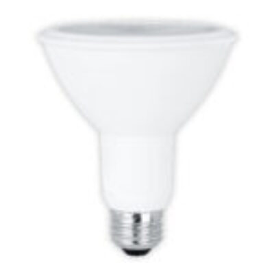 PAR30 BULB 11W 5000K