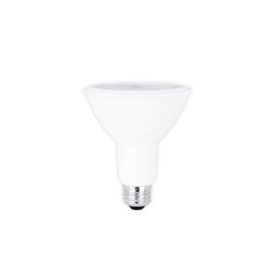 PAR30 Bulb 11W 3000K