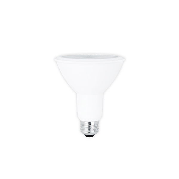 PAR30 Bulb 11W 5000K
