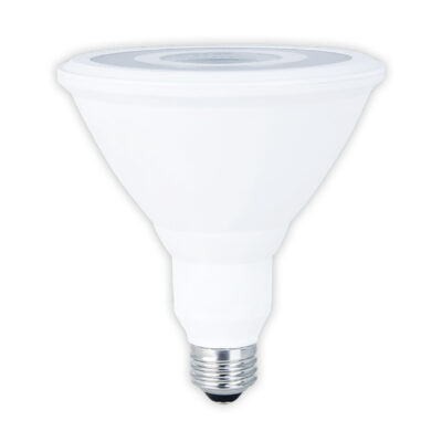 PAR38 Bulb 18W 3000K