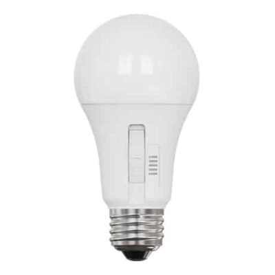 LED A19 Globe Bulb 10W 5CCT