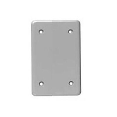 Rigid PVC 1 Gang Blank Cover (RBRC15-10)