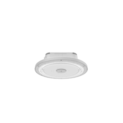 Canopy Light 60W 5000K 120-347V VT